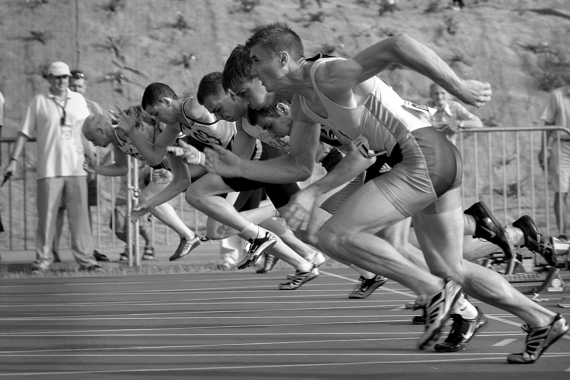 Do you learn from both your successes and failures?